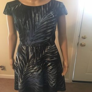 Size 6 Dress